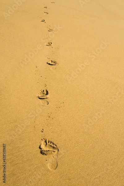 Fototapeta Shoreline, delicate footprints bear witness to a moment of carefree abandon and blissful connection with nature.