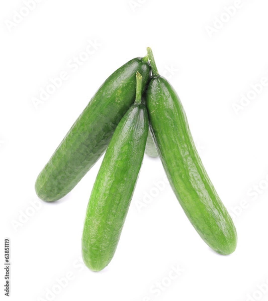 Obraz Three ripe cucumbers.