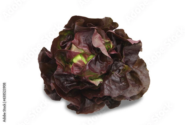 Fototapeta dried rose petals