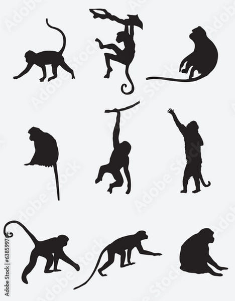 Fototapeta Set of Monkey Silhouette vector illustration