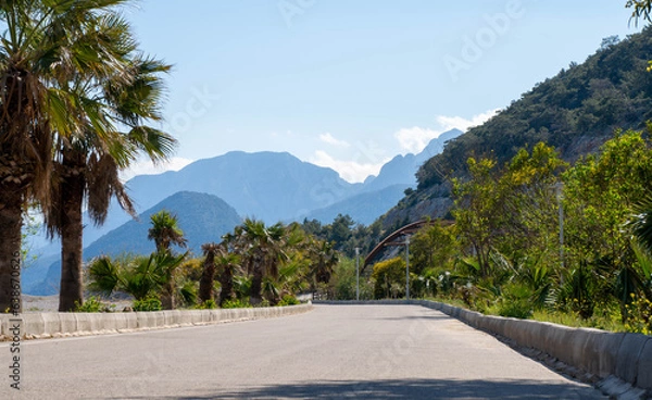 Obraz Road with palm trees on the background of mountains