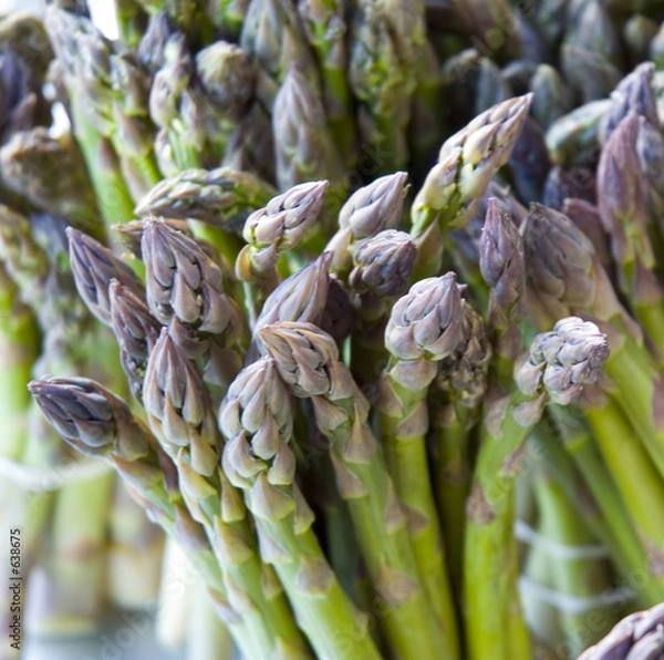Fototapeta asparagus