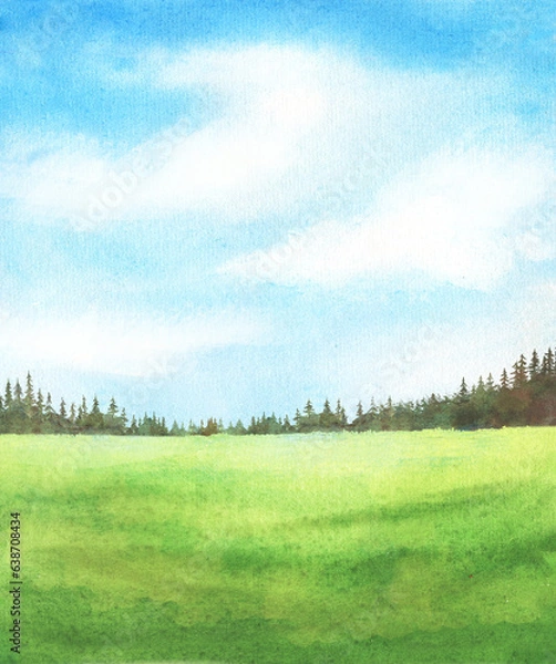 Fototapeta Abstract watercolor background with grass green field and blue sky with clouds, spruce trees hand drawn illustration