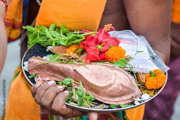 Obraz Tarpan at the riverside	ganga