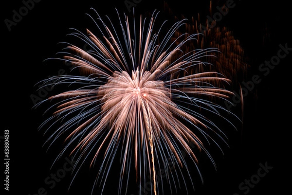 Obraz japanese fireworks