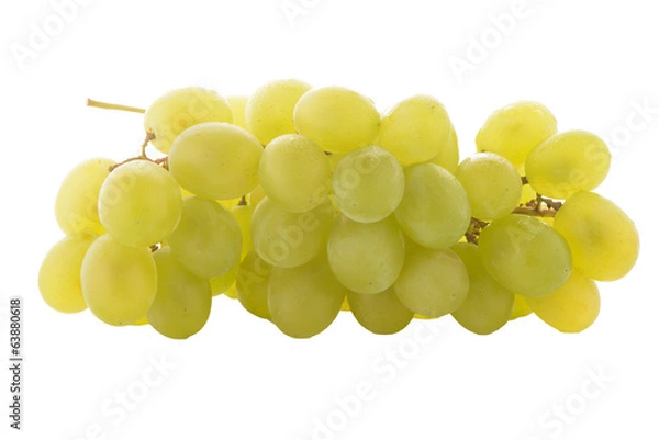 Fototapeta Green grapes