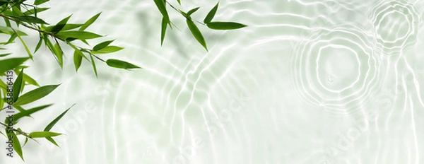 Obraz spa background banner with green bamboo leaf on white transparent water wave in sunlight, concept with copy space for travel,  cosmetics and beauty care