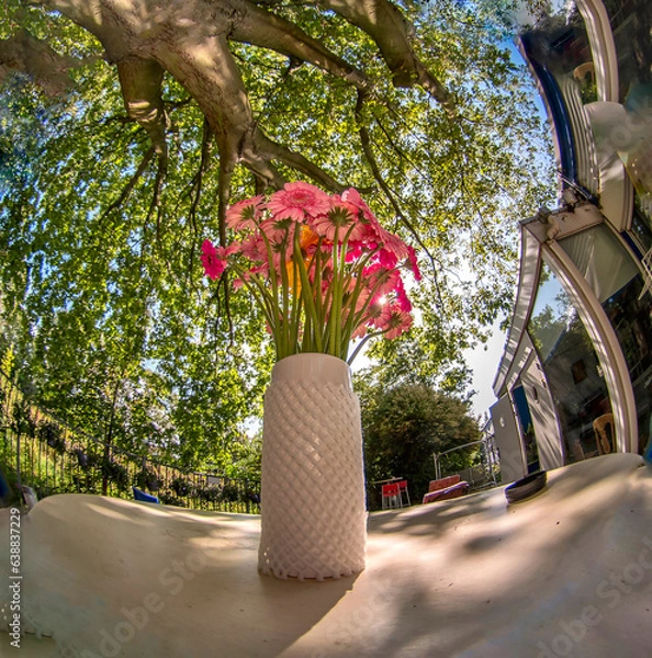 Fototapeta a bouquet of red flowers in a vase against the backdrop of the bright sun