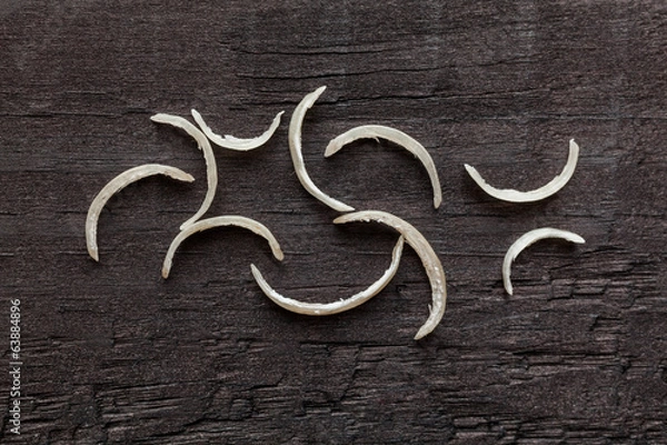 Obraz Nail clipper & nail clippings