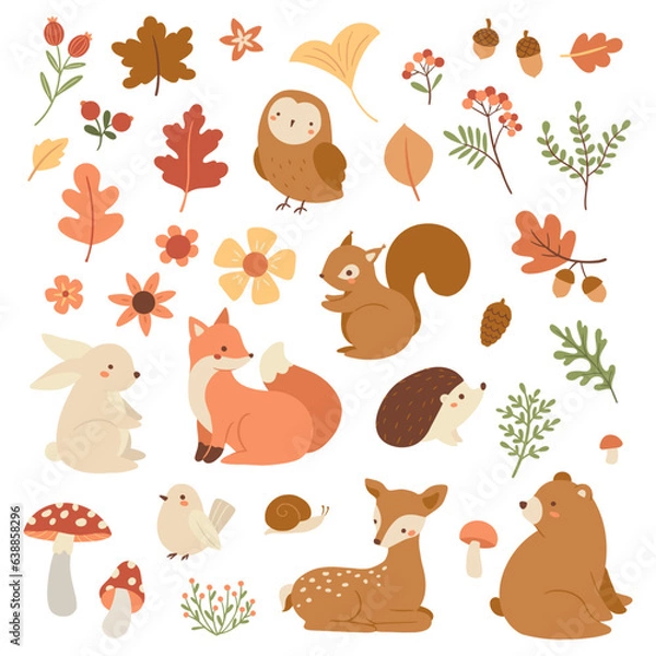 Fototapeta Vector set of forest animals and autumn leaves  illustrations 