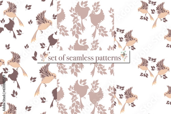 Fototapeta pattern with birds, set of seamless patterns