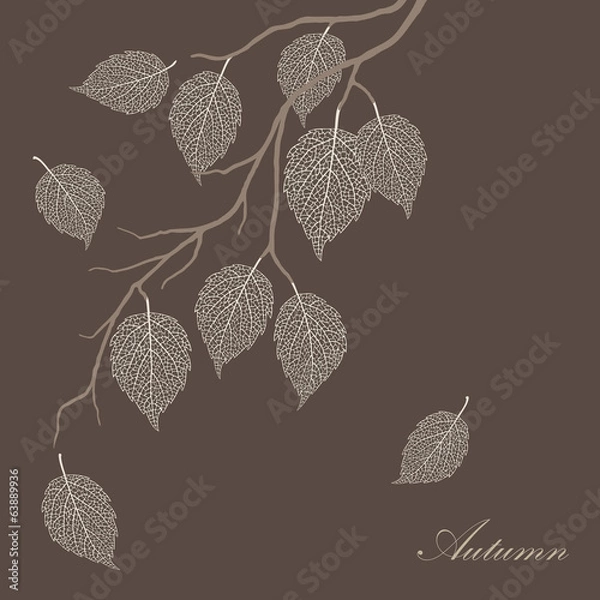 Fototapeta Beautiful illustration of transparent  leaves