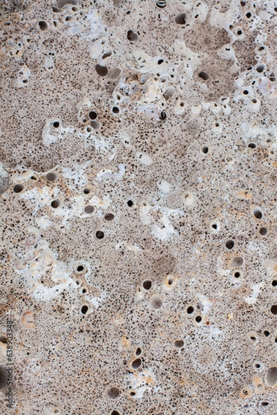 Obraz Texture of seaside stone