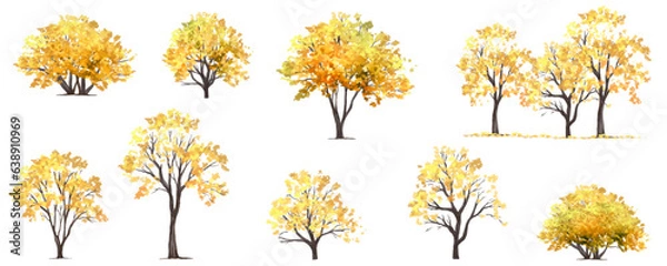 Fototapeta Vector watercolor of blooming tree side view isolated on white background for landscape and architecture drawing, elements for environment and garden,botanical elements ,bloomingAnd flowers in autumn 