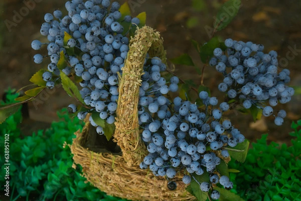 Obraz Blue berries in a basket. Blueberries are in a basket.