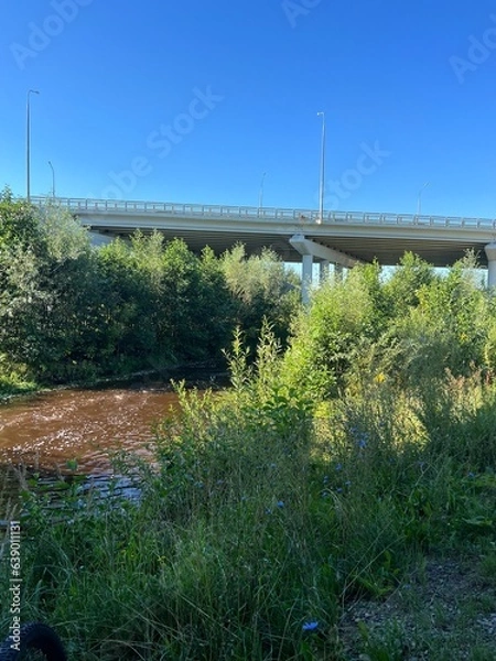 Fototapeta bridge over the river