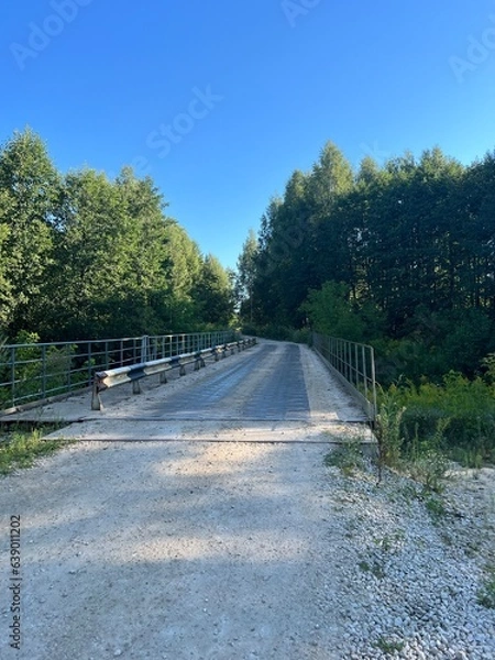 Fototapeta path in the park