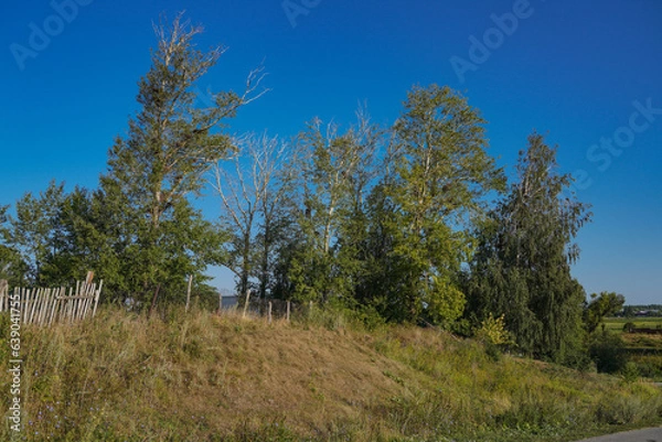 Obraz landscape with trees and sky