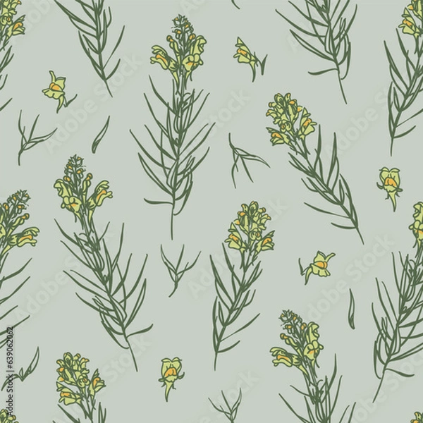 Obraz Yellow toadflax or butter-and-eggs with flowers and leaves. Blossom wildflowers for wallpaper, textile, wrapping paper. Sketch style. Hand drawn vector seamless pattern