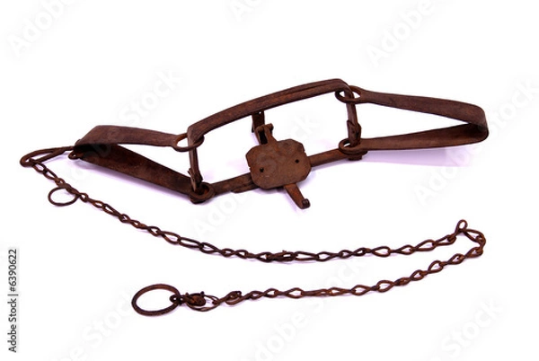 Fototapeta Bear Trap