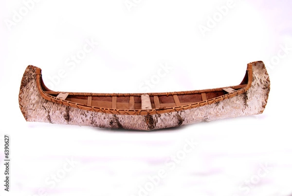 Obraz birch canoe