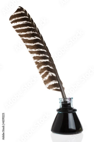 Obraz Feather Quill