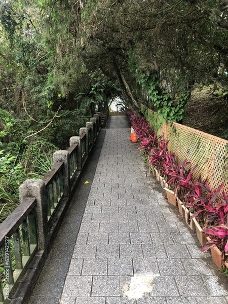 Fototapeta walkway in the park