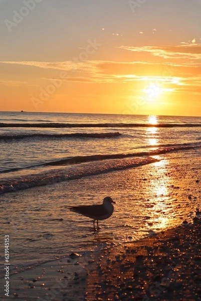 Obraz sunset on the beach