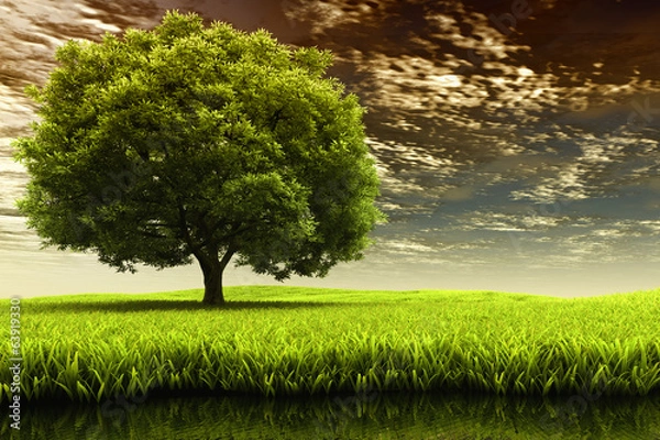 Obraz Spring landscape