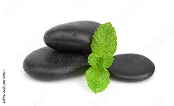 Fototapeta Fresh mint on the black stones with drops