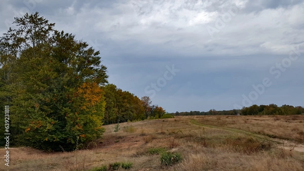 Fototapeta A trail through the middle of a dry meadow in the autumn season. Wild place close to the forest far from civilization 