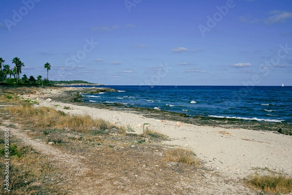 Obraz beach and sea