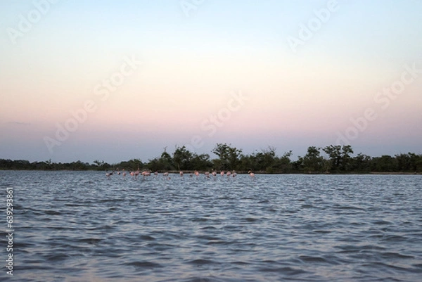 Fototapeta Los Flamencos National Reserve, Colombia - January 2 2023: Landscape of blue lake with pink flamingo in the distance