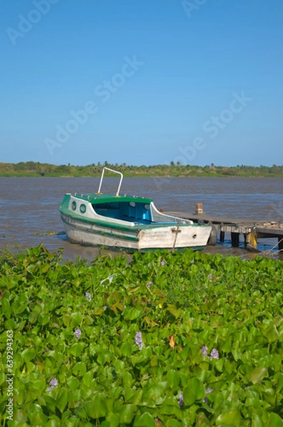 Fototapeta Barranquilla, Colombia - January 3 2023: Outboard motor on a small boat with vegetation of the Magdalena River in the background. Barranquilla. Colombia.