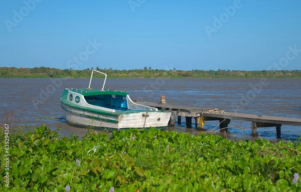 Fototapeta Barranquilla, Colombia - January 3 2023: Outboard motor on a small boat with vegetation of the Magdalena River in the background. Barranquilla. Colombia.