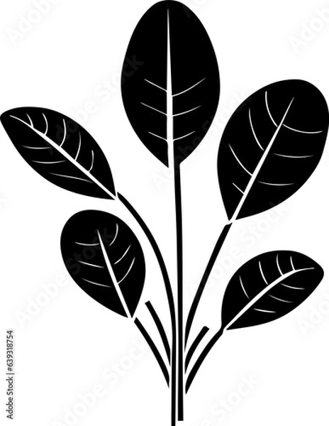 Fototapeta Vivianiaceae flower icon 2