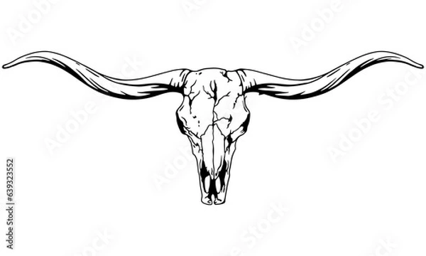 Obraz Texas Longhorn, Country Western Bull Cattle Vintage Label Logo Design. Vector hand drawing of the head of a Texas longhorn on a white background