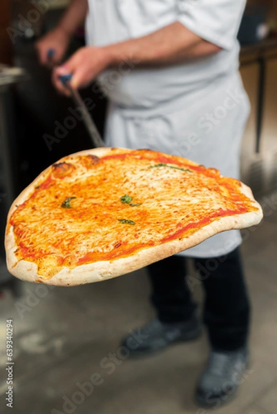 Obraz A chef takes a hot 4-cheese pizza out of the oven, holding it on a special baking peel