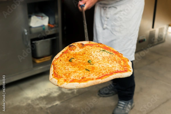 Obraz A chef takes a hot 4-cheese pizza out of the oven, holding it on a special baking peel