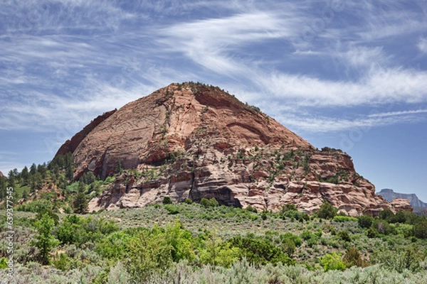 Fototapeta Tabernacle Dome
