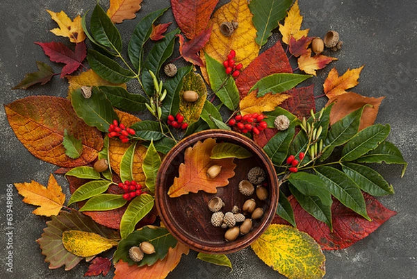 Obraz autumn still life, red and yellow leaves of different trees and acorns