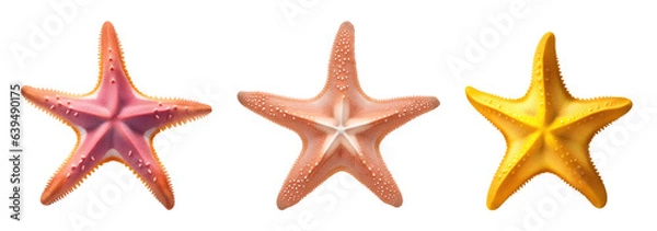 Fototapeta Set of different colourful starfish marine creature isolated on transparent background. Generative AI