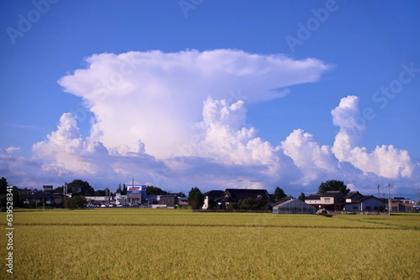 Obraz 宇都宮市　かなとこ雲