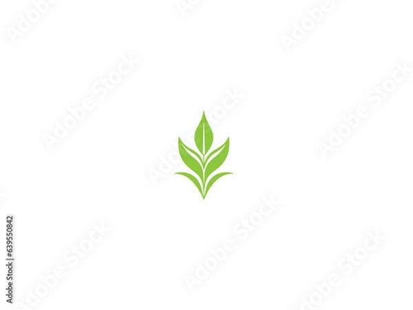 Fototapeta premium corn plant logo vector, vector and illustration,