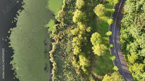 Obraz 수원 광교호수공원 숲