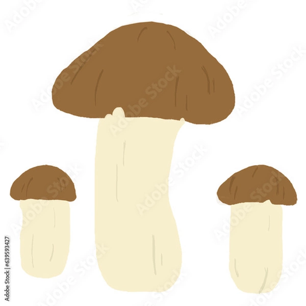 Obraz mushroom isolated