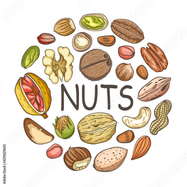 Fototapeta Background with various nuts.