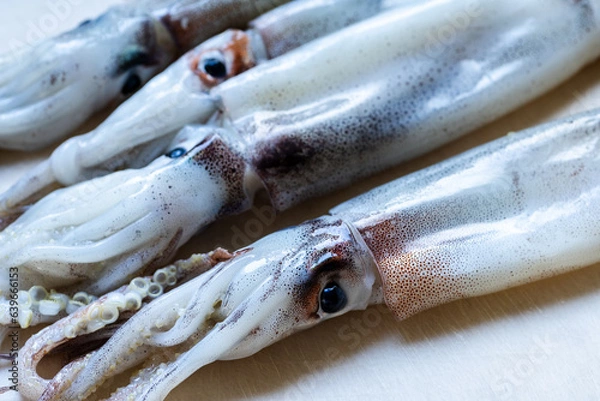 Obraz まな板の上の新鮮なイカ