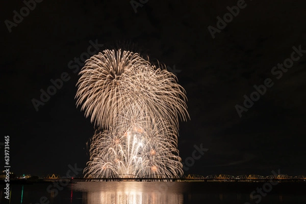Fototapeta 夏の夜空に咲く大輪の花火