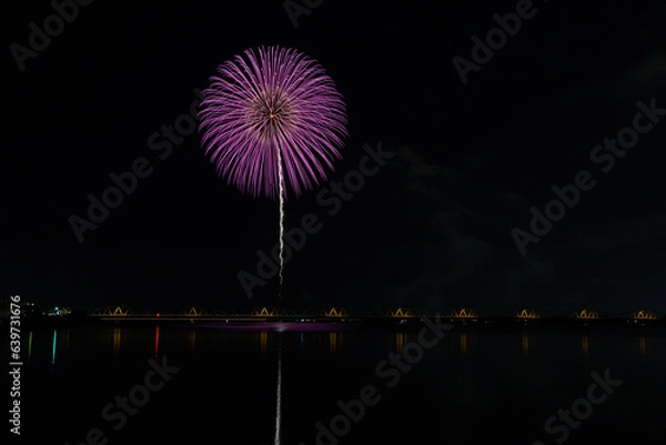 Fototapeta 夏の夜空に咲く大輪の花火